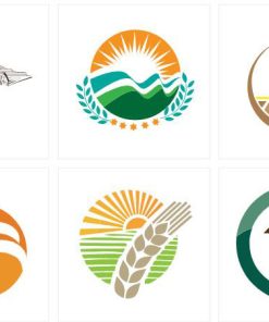 Dịch Vụ Thiết Kế LOGO Quảng Bá Doanh Nghiệp Tại Quy Nhơn
