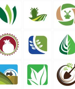 Dịch Vụ Thiết Kế LOGO Quảng Bá Doanh Nghiệp Tại Quy Nhơn