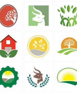 Dịch Vụ Thiết Kế LOGO Quảng Bá Doanh Nghiệp Tại Quy Nhơn