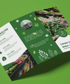 In + Thiết Kế Brochure Đẹp - Độc Đáo - Sáng Tạo Giá Rẻ BR1