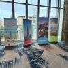 [Xưởng Standee] In PP dán decal